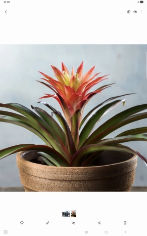 Go to the required picture.