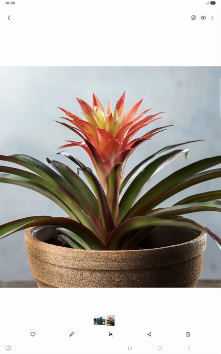 Go to the required picture.