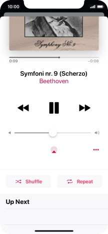 Press Shuffle to turn the function on or off.