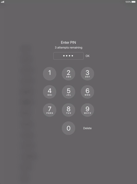 Key in your PIN and press OK. Key in your PIN and press OK.