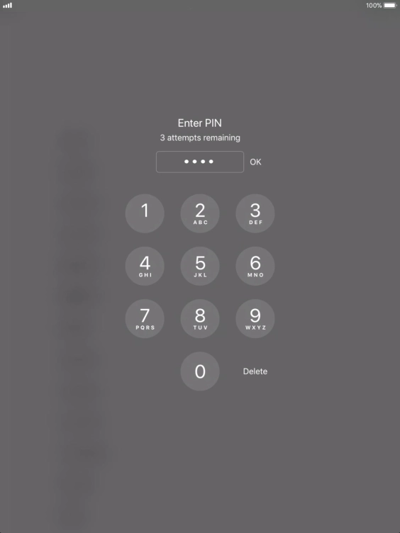 Key in your PIN and press OK. Key in your PIN and press OK.