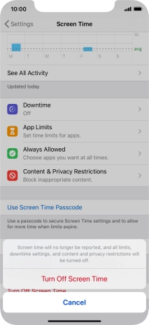 Press Turn Off Screen Time.