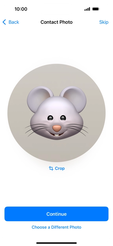 Follow the instructions on the screen to customise the selected picture and press Continue.