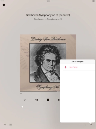 Press New Playlist and key in the name of the playlist. Press New Playlist and key in the name of the playlist.