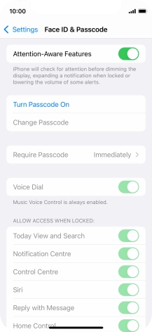 Press Turn Passcode On and key in a phone lock code of your own choice twice.