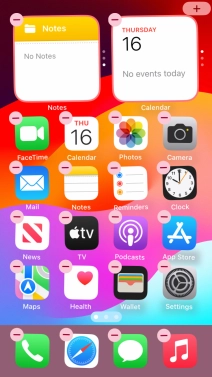 Press the home screen icon.