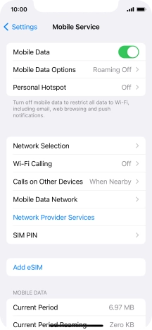 Press Mobile Data Options.