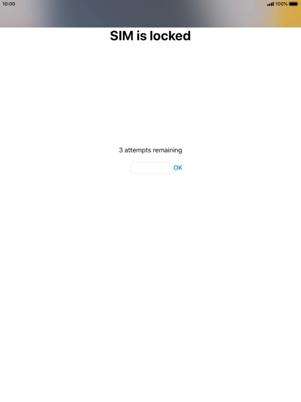 If your SIM is locked, key in your PIN and press OK.