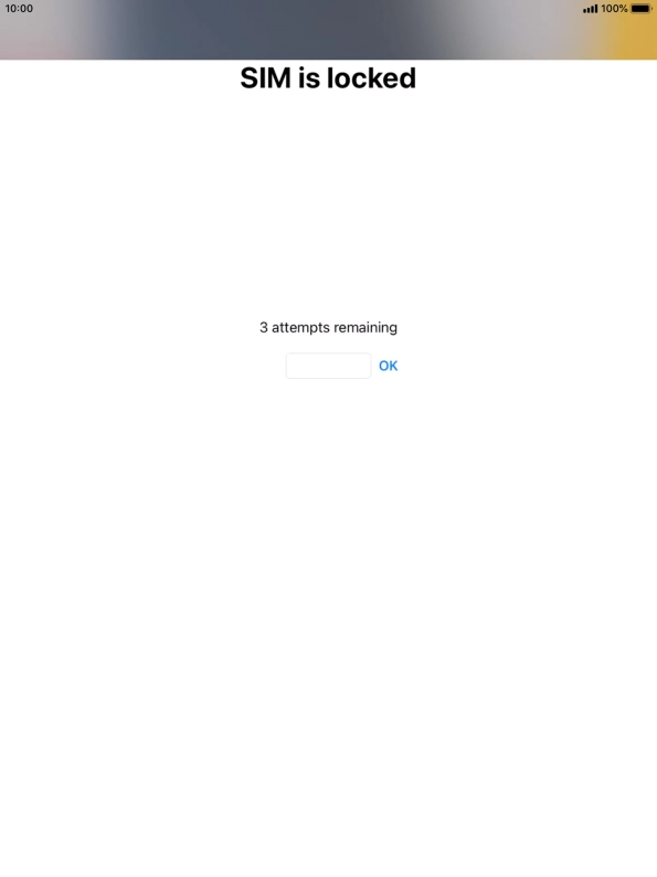 If your SIM is locked, key in your PIN and press OK.