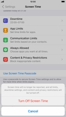 Press Turn Off Screen Time.
