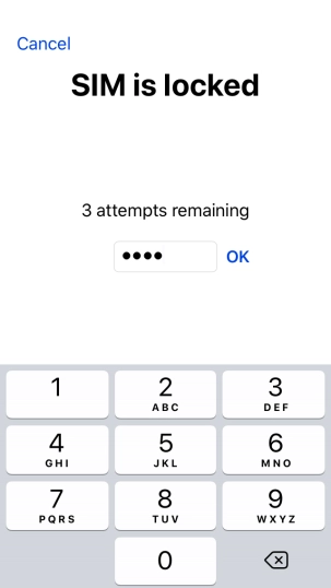 If your SIM is locked, key in your PIN and press OK.
