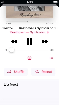 Press Shuffle to turn the function on or off.