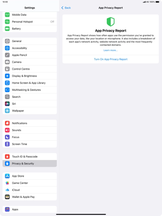 Press Turn On App Privacy Report to turn on the function.