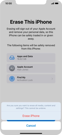 Press Erase iPhone.