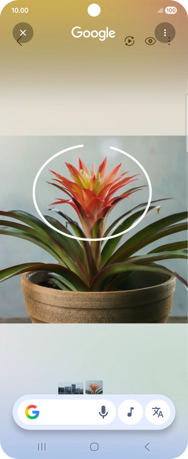 Draw a circle around the required object on the picture and wait for the search results. Draw a circle around the required object on the picture and wait for the search results.