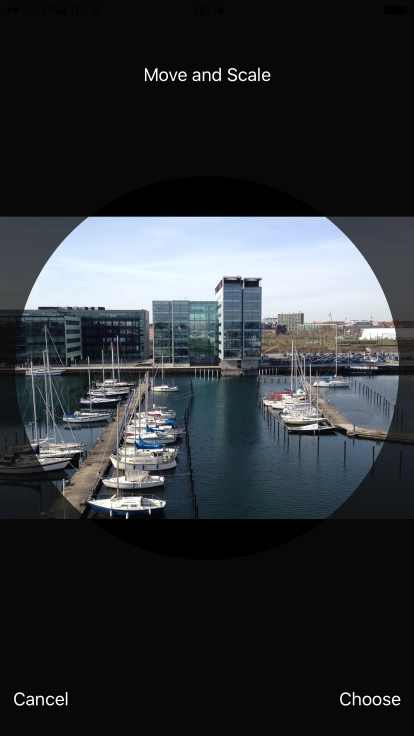 Drag the frame to the required position to select the required detail and press Choose.