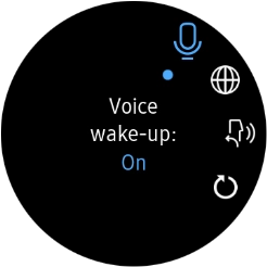 Press the language icon. Press the language icon.