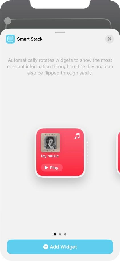 Slide your finger right or left on the screen to select the required widget size.