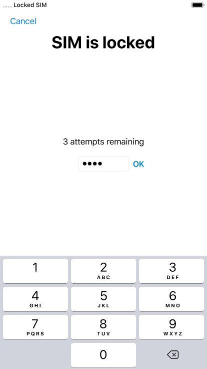 If your SIM is locked, key in your PIN and press OK.
