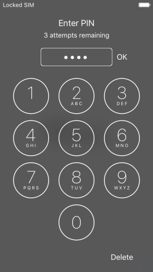 Key in your PIN and press OK.