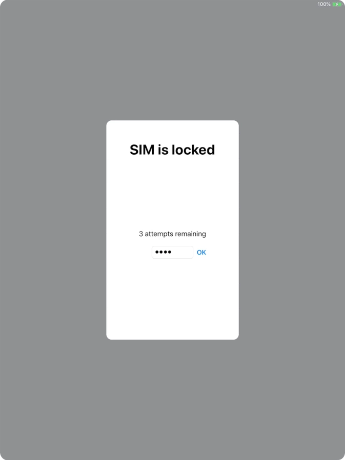 If your SIM is locked, key in your PIN and press OK.
