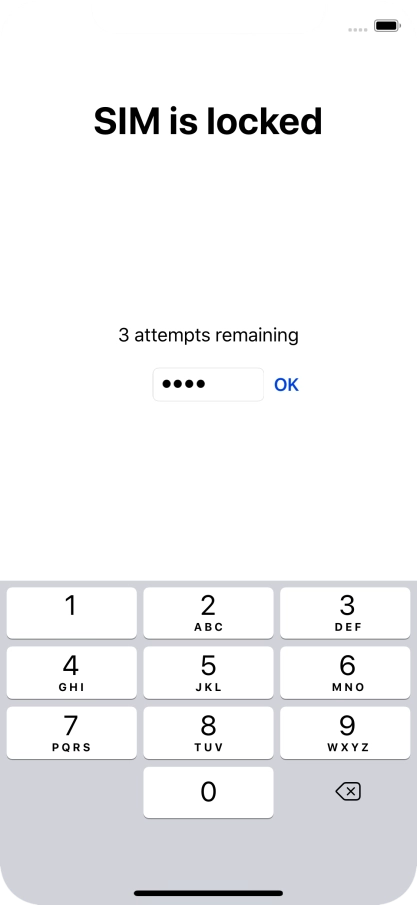 Key in your PIN and press OK.