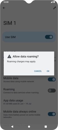 If you turn on data roaming, press OK.