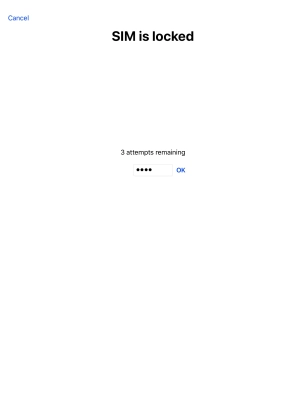 If your SIM is locked, key in your PIN and press OK.
