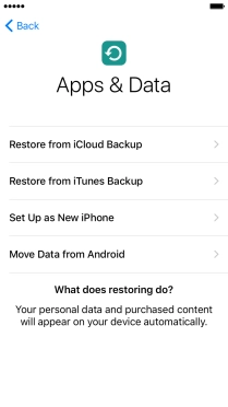 Press Restore from iCloud Backup.