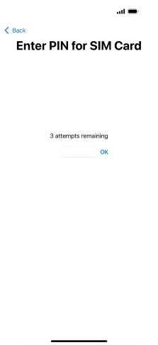If your SIM is locked, key in your PIN and press OK.