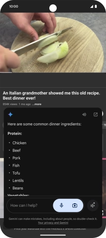 The answer from Gemini to your question is displayed.