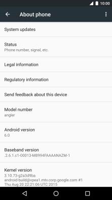 Press System updates. If a new software version is available, it's displayed. 
Follow the instructions on the screen to update the phone software.