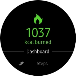 Press the pedometer icon.