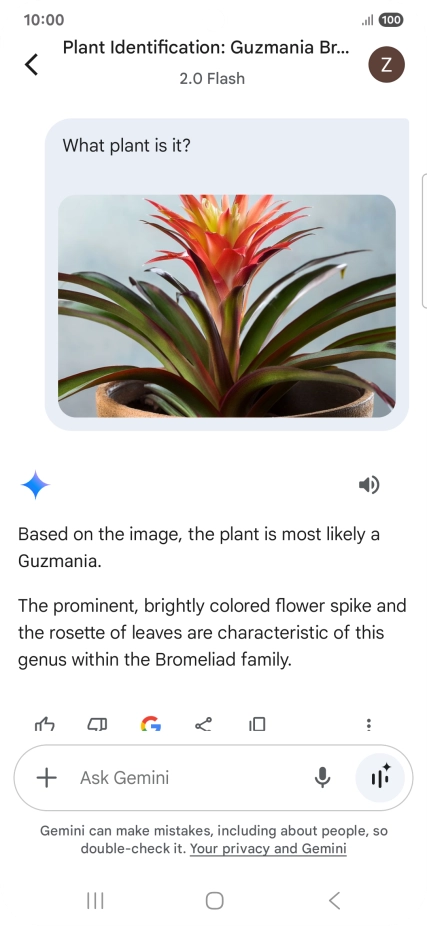 Follow the instructions on the screen to type or speak the required question. You can also attach pictures or documents and ask questions to them.