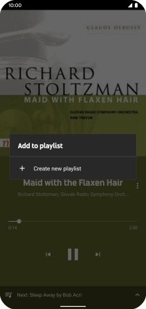 Press Create new playlist.