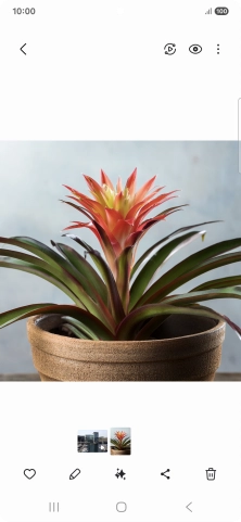 Go to the required picture.