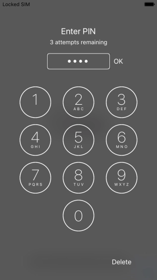 Key in your PIN and press OK.