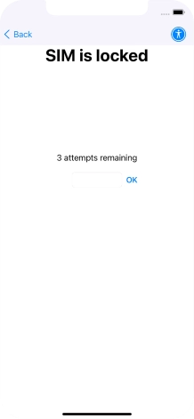 If your SIM is locked, key in your PIN and press OK.