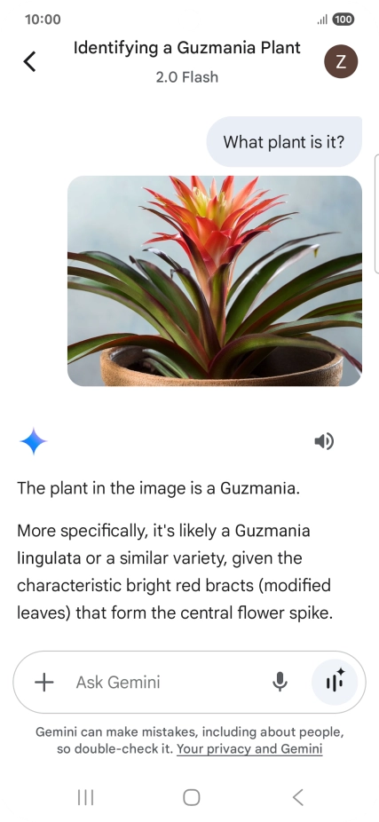 Follow the instructions on the screen to type or speak the required question. You can also attach pictures or documents and ask questions to them.