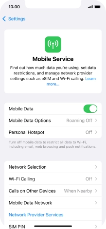 Press Mobile Data Options.