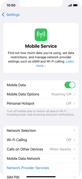 Press Mobile Data Options.