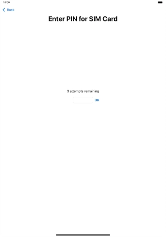 If your SIM is locked, key in your PIN and press OK.