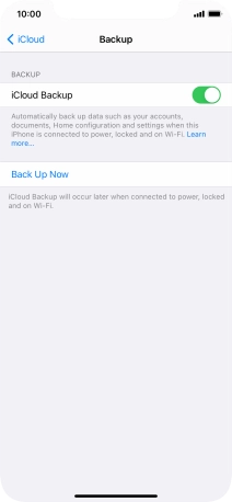 Press Back Up Now and wait while the phone memory is backed up.