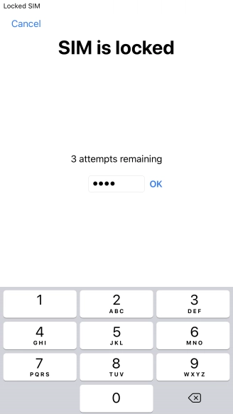 If your SIM is locked, key in your PIN and press OK.