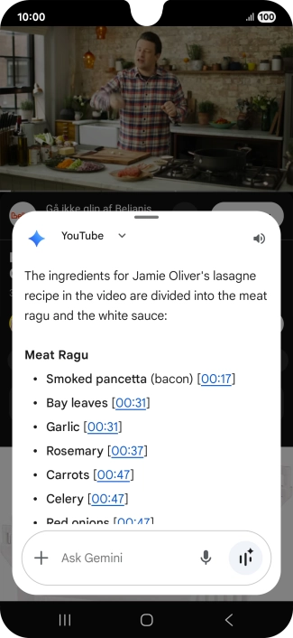 The answer from Gemini to your question is displayed.