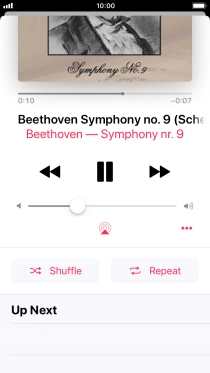 Press Shuffle to turn the function on or off.