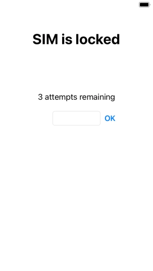 If your SIM is locked, key in your PIN and press OK.