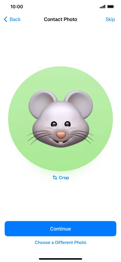 Follow the instructions on the screen to customise the selected picture and press Continue.