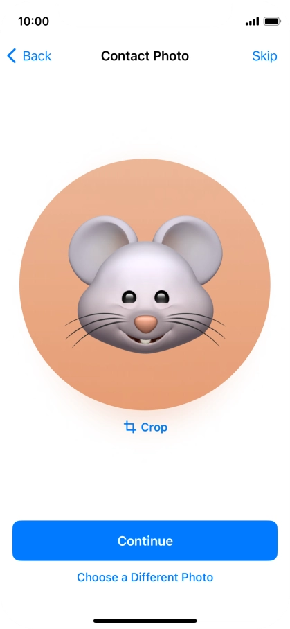 Follow the instructions on the screen to customise the selected picture and press Continue.