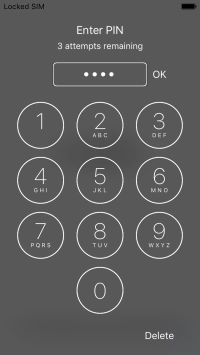 Key in your PIN and press OK.